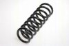 TRISCAN 8750 1029 Coil Spring